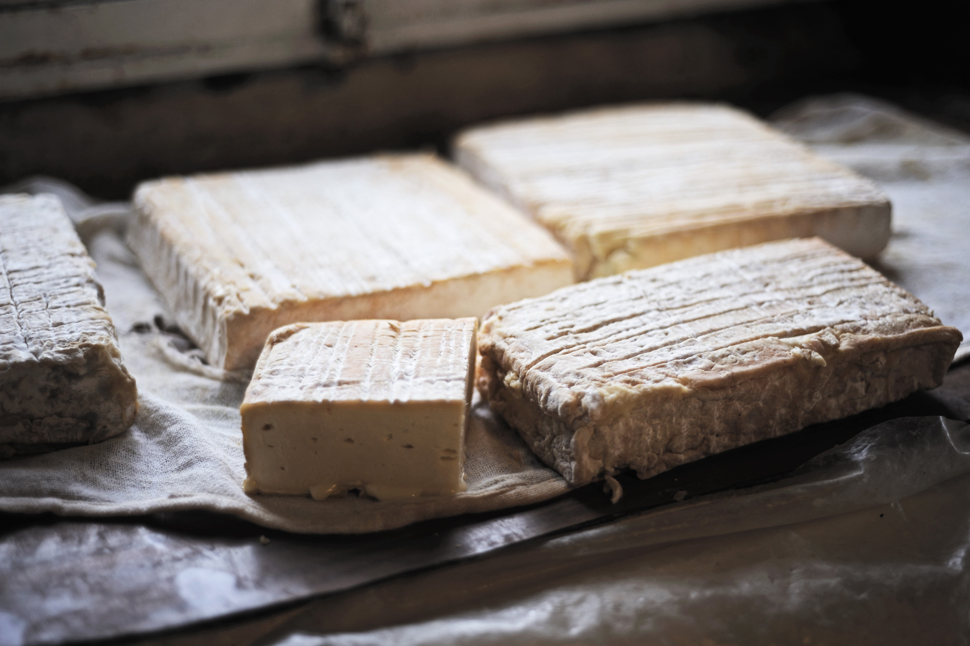 Stracchino all'antica delle valli orobiche © Alberto Peroli