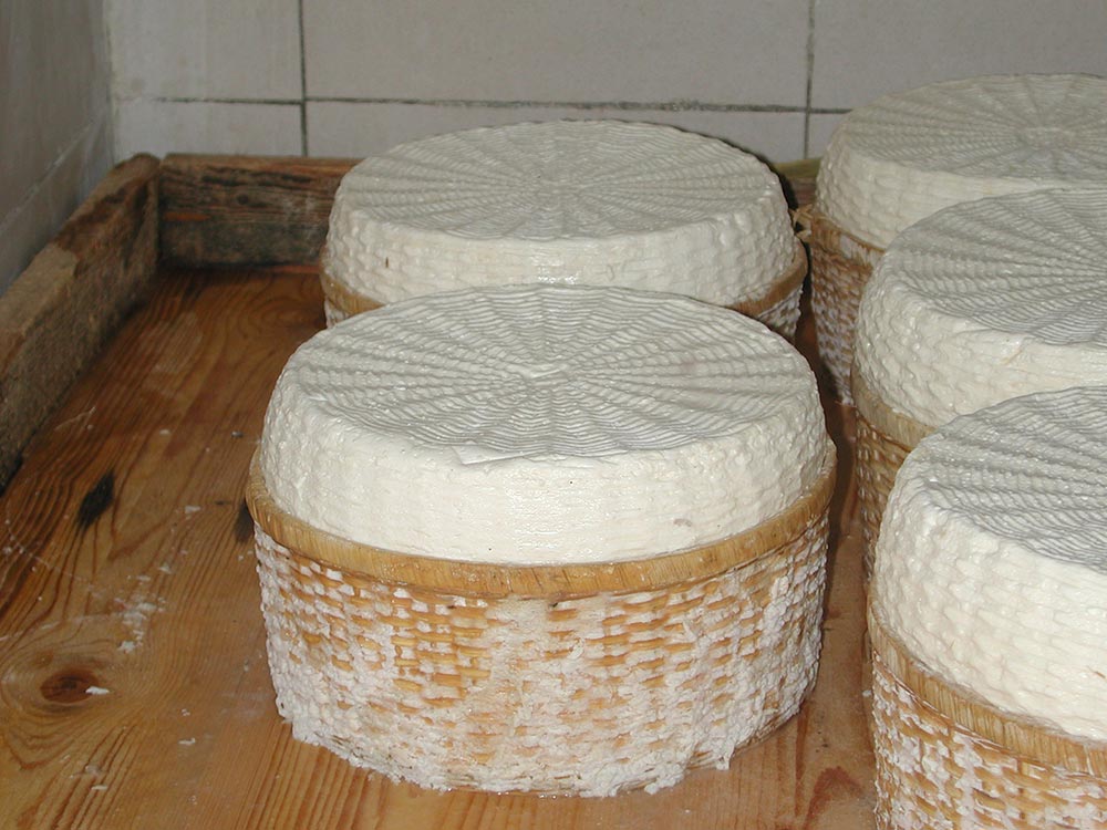 Morlacco del Grappa di malga © Archivio Slow Food