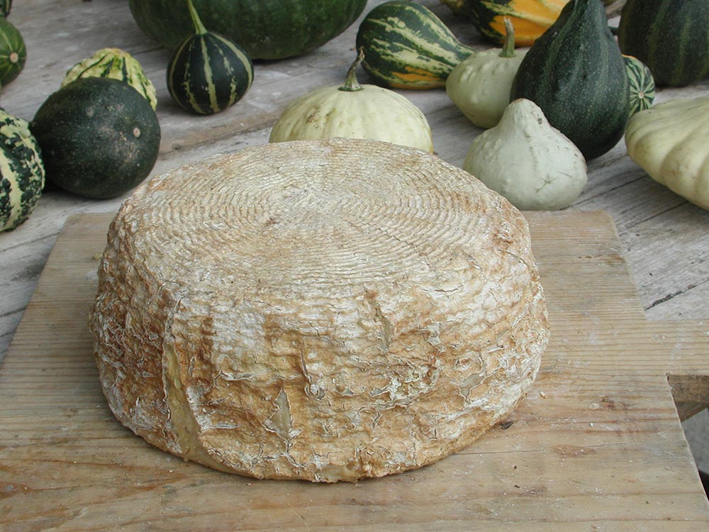 Morlacco del Grappa di malga © Archivio Slow Food