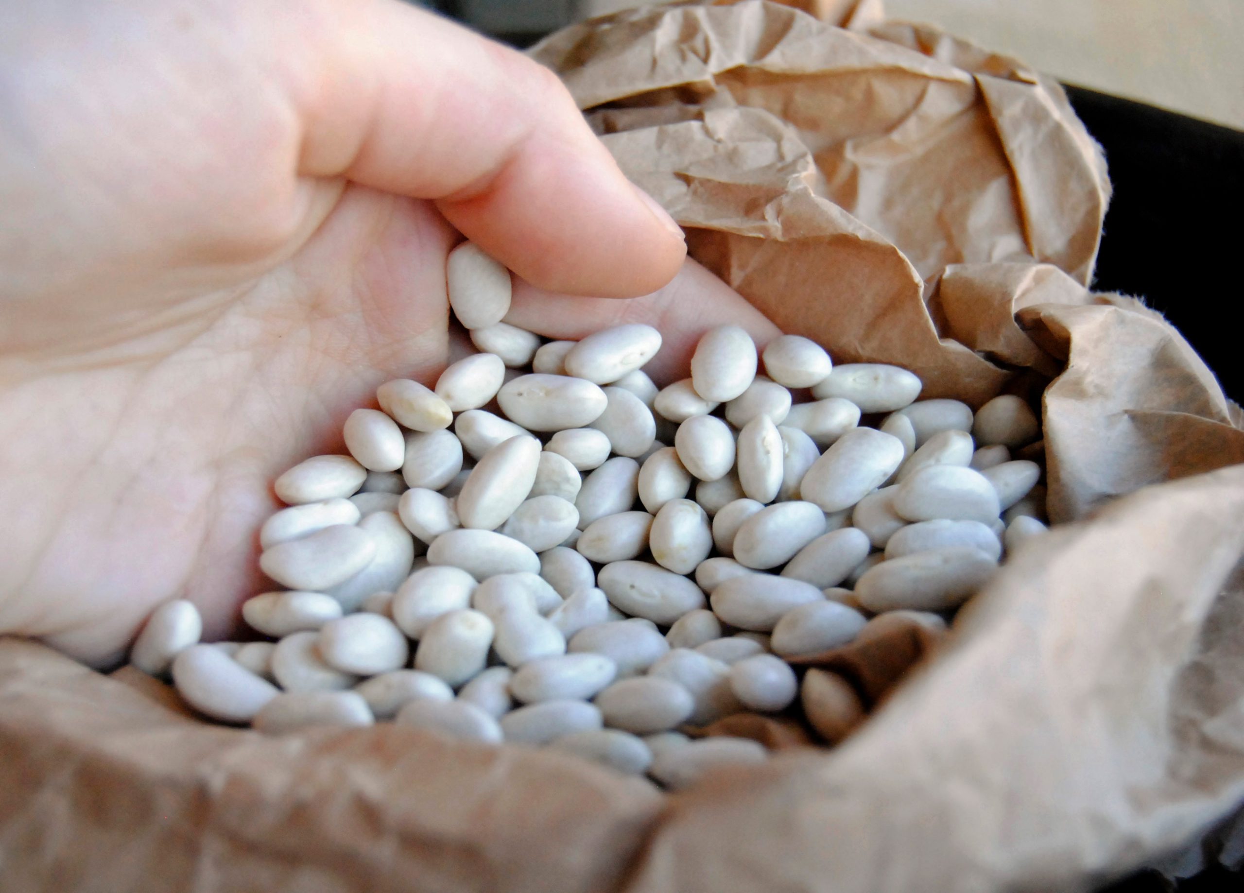 Fagiolina di Arsoli © Valerie Ganio Vecchiolino