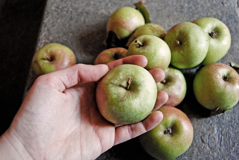 Melo Decio Di Belfiore © Valerie Ganio Vecchiolino