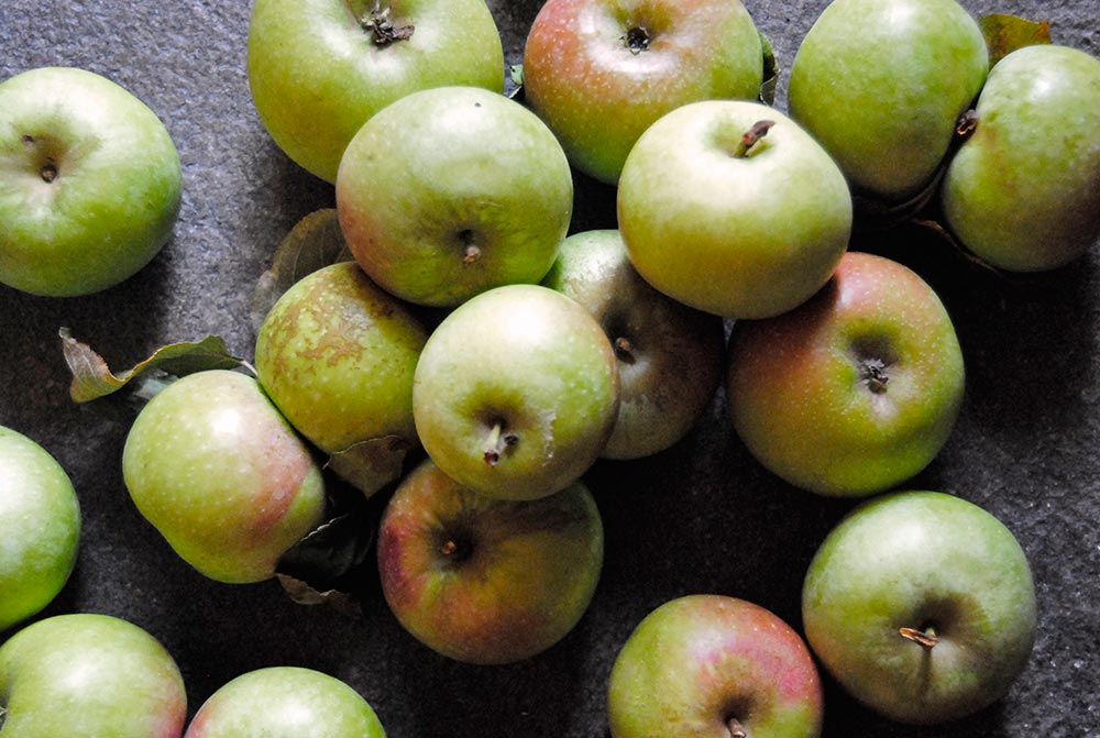 Melo Decio Di Belfiore © Valerie Ganio Vecchiolino