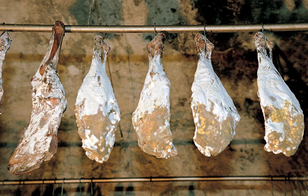 Violino di capra della Valchiavenna © Manfredo Pinzauti