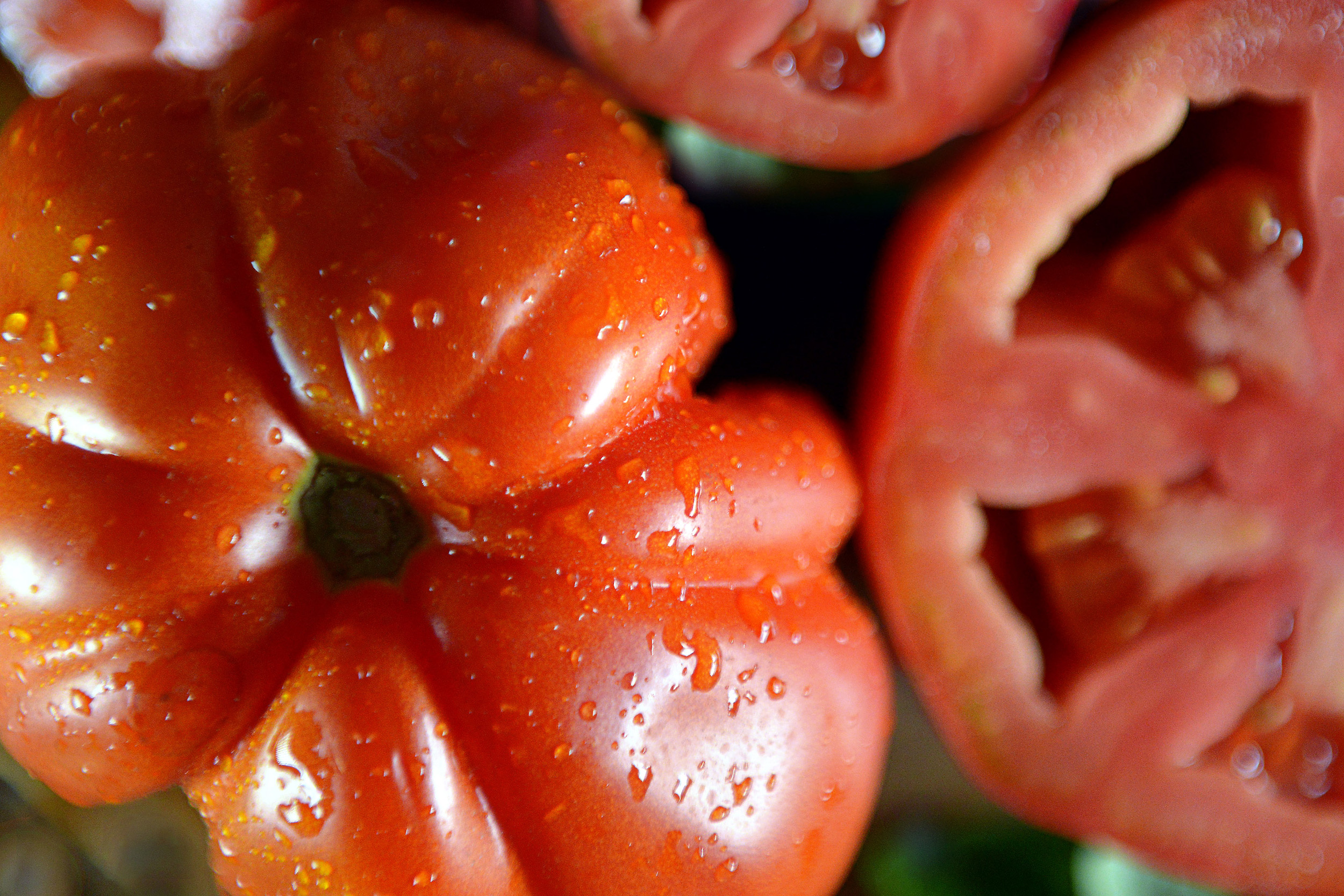 Pomodoro canestrino di Lucca © Roberto Giomi