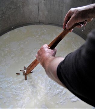 Giuncata dei Monti Reatini © Marco Crupi/Tommaso Ragonese Slow-Sicily.com