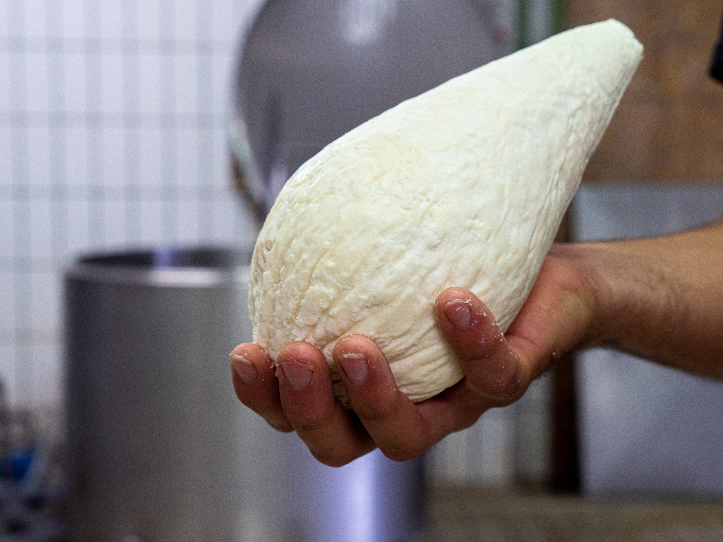 Ricotta salata della Valnerina © Marco Crupi/Tommaso Ragonese Slow-Sicily.com