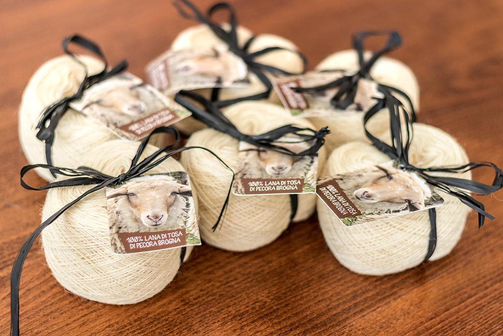 Pecora Brogna © Marco Malvezzi