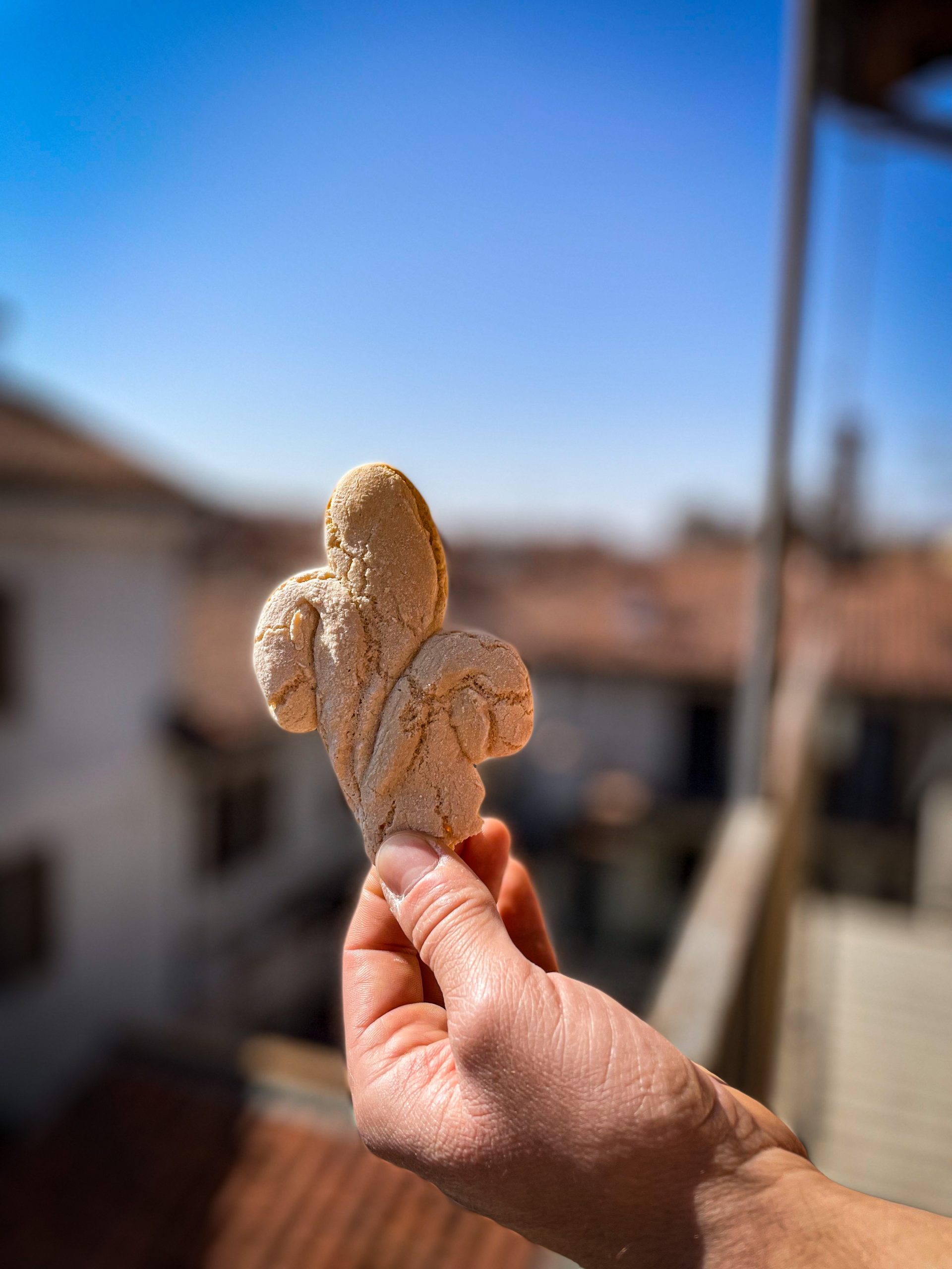 Giglietto di Palestrina e Castel San Pietro Romano © Silvia Rota