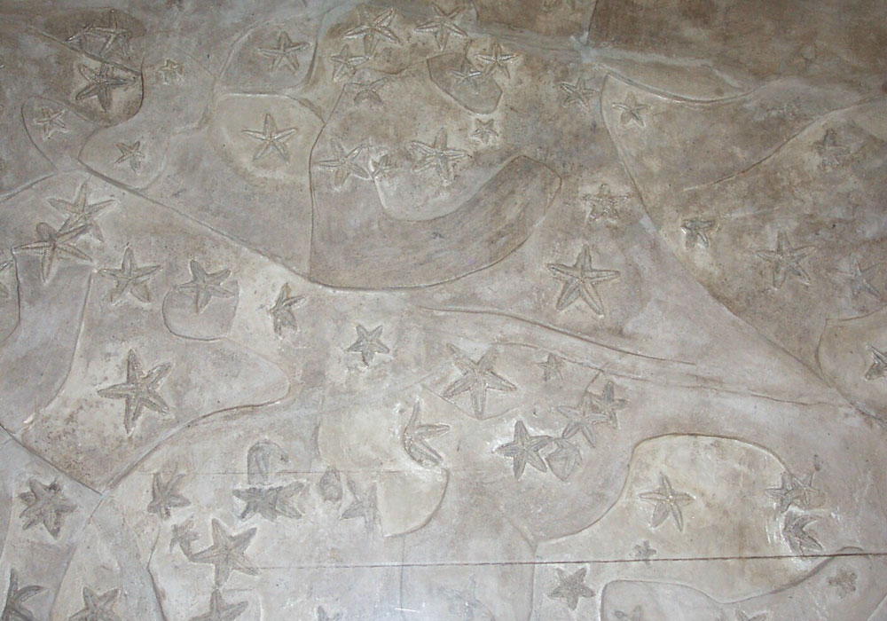 Salsomaggiore Terme Museo Paleontologico “mare antico” - importante fossile costituito da un blocco di astropecten irregolaris (stelle marine) © Comune di Salsomaggiore Terme