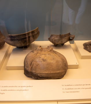 Museo Nazionale Atestino di Este (Pd) - La Palafitta di Arquà Petrarca- reperti © A. Rossi, Camaleo S.r.l. (Rm) Su concessione del Ministero della Cultura e del Museo Nazionale Atestino di Este (Pd)- Direzione Regionale Musei Veneto; riproduzione vietata
