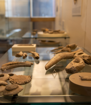 Museo Nazionale Atestino di Este (Pd) - La Palafitta di Arquà Petrarca- reperti © A. Rossi, Camaleo S.r.l. (Rm) Su concessione del Ministero della Cultura e del Museo Nazionale Atestino di Este (Pd)- Direzione Regionale Musei Veneto; riproduzione vietata
