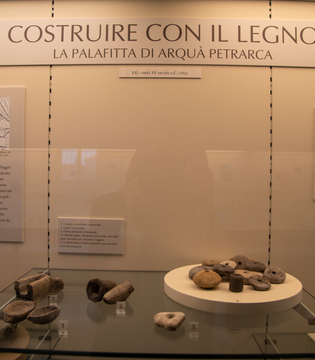 Museo Nazionale Atestino di Este (Pd) - La Palafitta di Arquà Petrarca © A. Rossi, Camaleo S.r.l. (Rm) Su concessione del Ministero della Cultura e del Museo Nazionale Atestino di Este (Pd)- Direzione Regionale Musei Veneto; riproduzione vietata