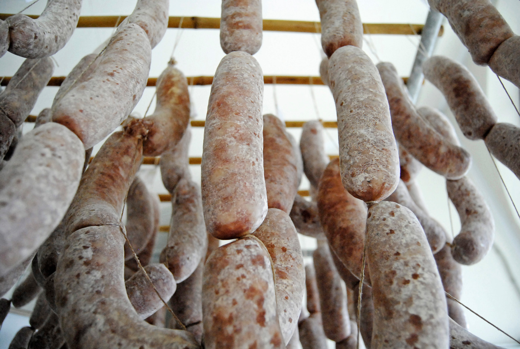 © Valerie Ganio Vecchiolino