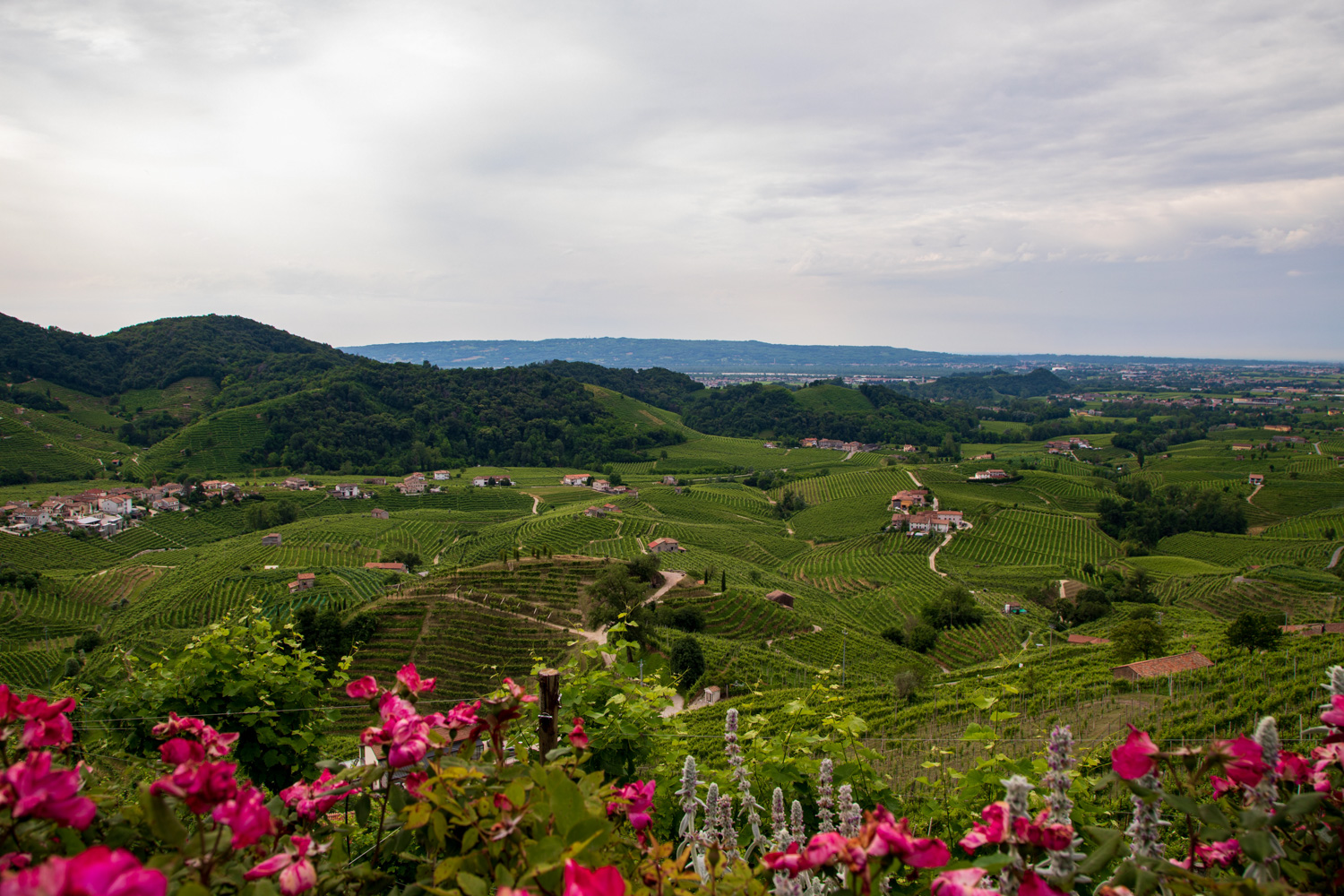 Colline di Valdobbiadene © A. Rossi, Camaleo S.r.l. (Rm) - In collaborazione con Associazione per il Patrimonio delle Colline del Prosecco di Conegliano e Valdobbiadene UNESCO