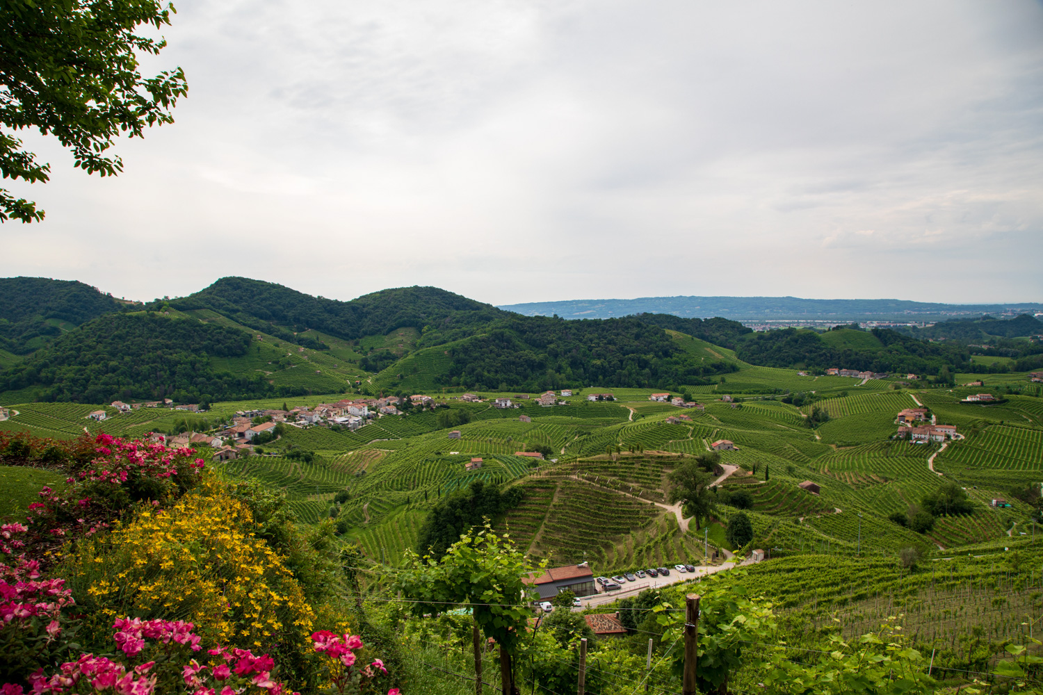 Colline di Valdobbiadene © A. Rossi, Camaleo S.r.l. (Rm) - In collaborazione con Associazione per il Patrimonio delle Colline del Prosecco di Conegliano e Valdobbiadene UNESCO