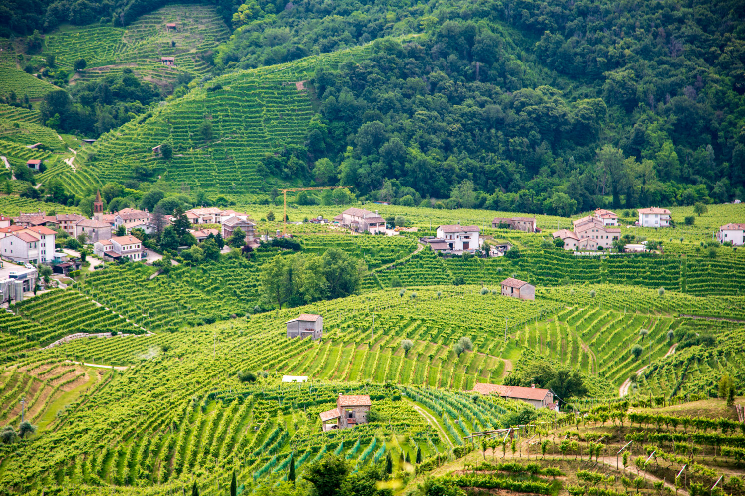 Colline di Valdobbiadene © A. Rossi, Camaleo S.r.l. (Rm) - In collaborazione con Associazione per il Patrimonio delle Colline del Prosecco di Conegliano e Valdobbiadene UNESCO