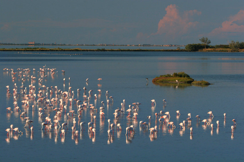Bevanella Centro Visite Cubo Magico © Davide Pansecchi