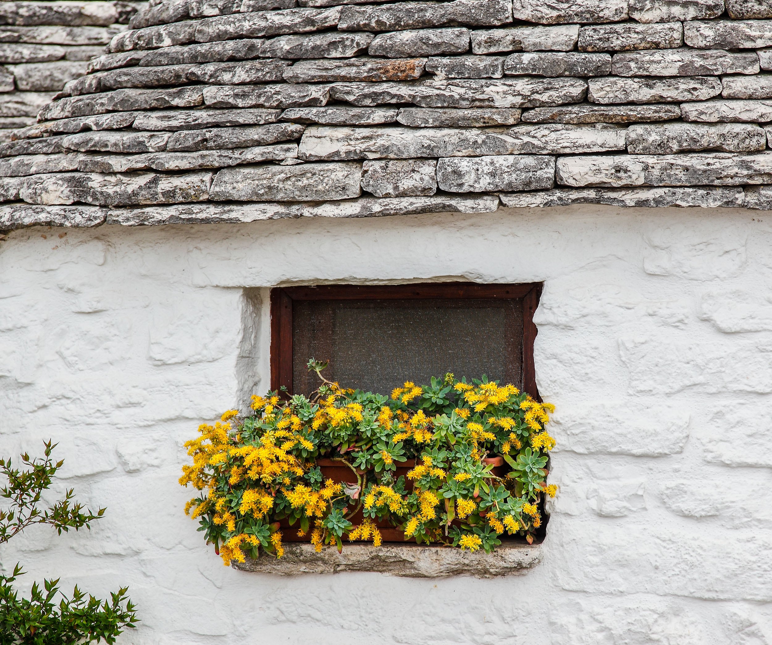 Dettaglio - Trullo © A. Cambone, R. Isotti - Homo Ambiens / Touring Club Italiano