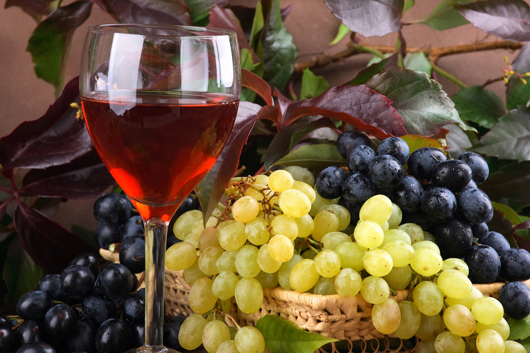 Bianchi, rossi e rosati a un passo dall'Adriatico