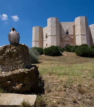 Castel del Monte © A.Cambone, R.Isotti u2013 Homo ambiens/Touring Club Italiano