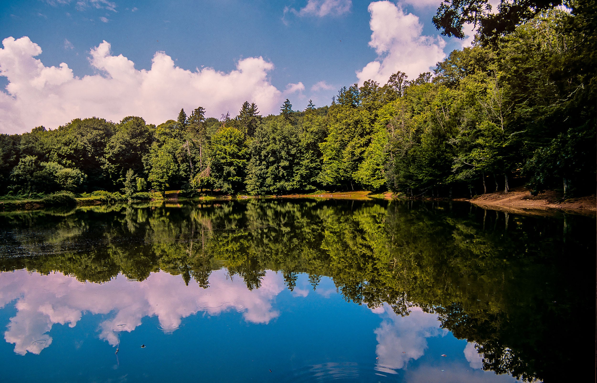 Lago D'Umbra Falascone - Foresta Umbra, Parco del Gargano © A. Cambone, R. Isotti - Homo Ambiens / Touring Club Italiano