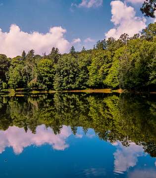 Lago D'Umbra Falascone - Foresta Umbra, Parco del Gargano © A. Cambone, R. Isotti - Homo Ambiens / Touring Club Italiano