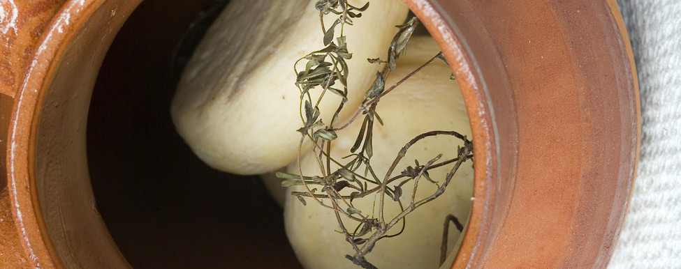 Campania Felix
