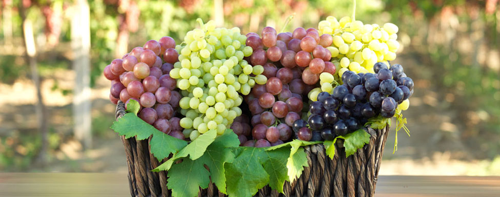 La Triade vinicola d’Irpinia
