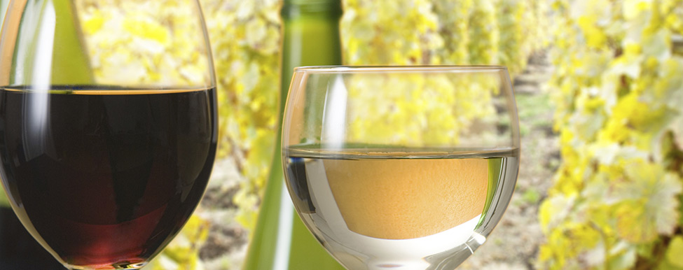I grandi vini del piccolo Molise