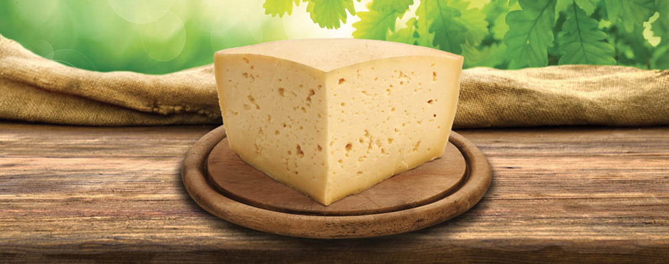 Il montasio. Formaggio di montagna