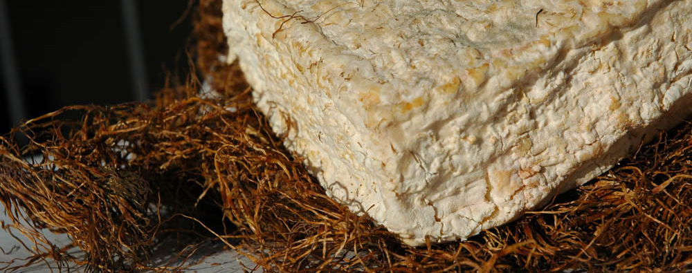 Caciofiore, il pecorino del lago di Bracciano