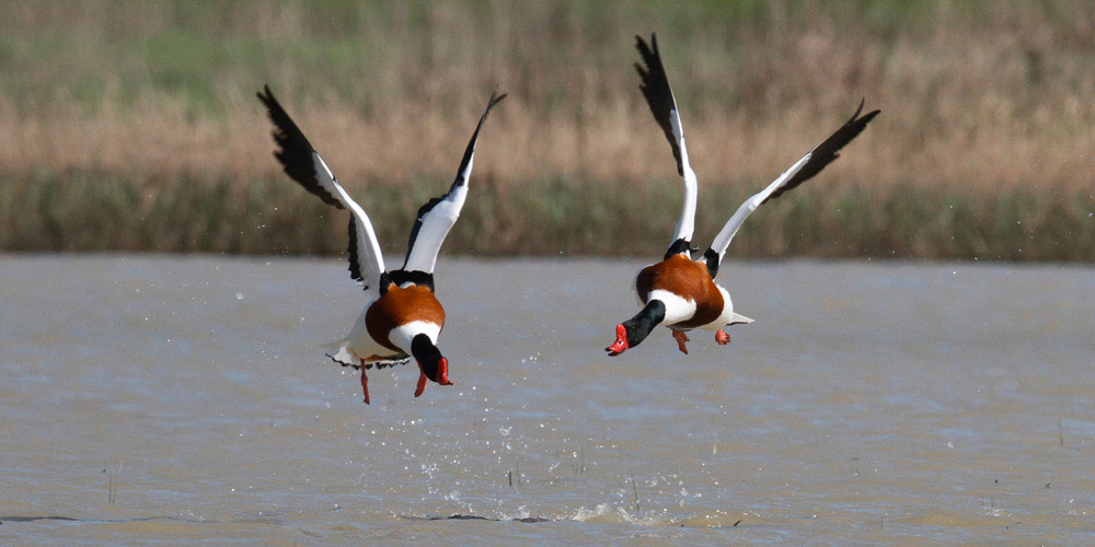 Bevanella Centro Visite Cubo Magico © Davide Pansecchi