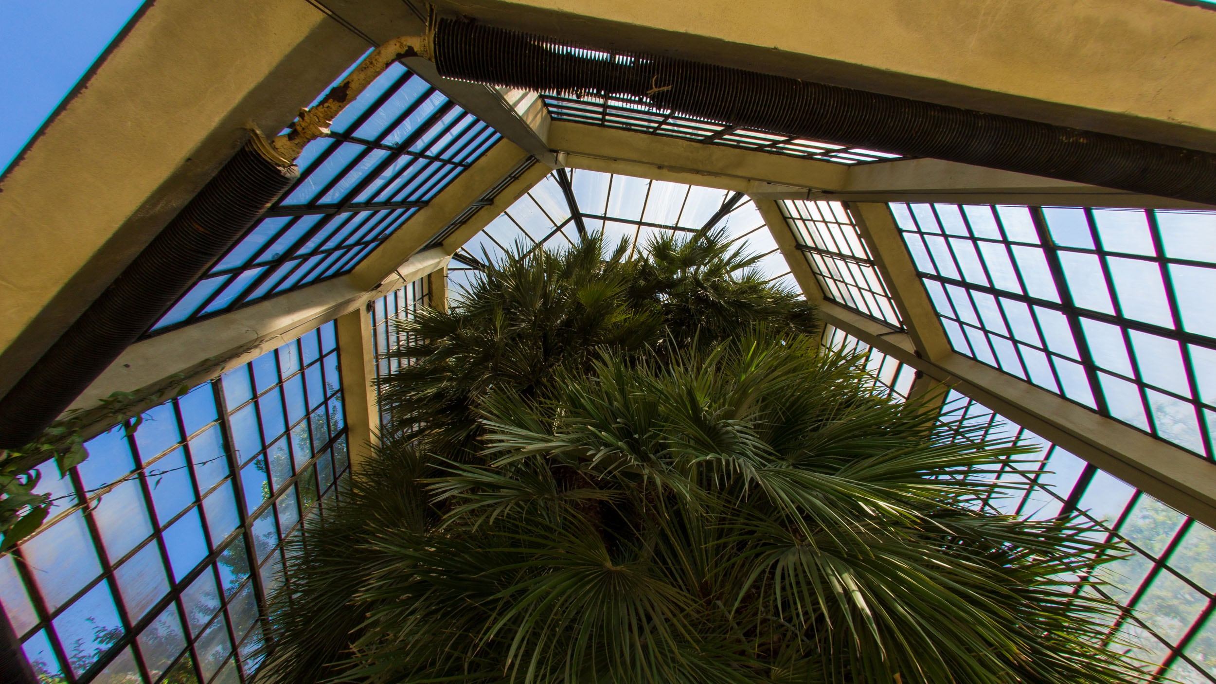 L'interno di una delle serre © A.Cambone, R.Isotti - Homo ambiens/Touring Club Italiano