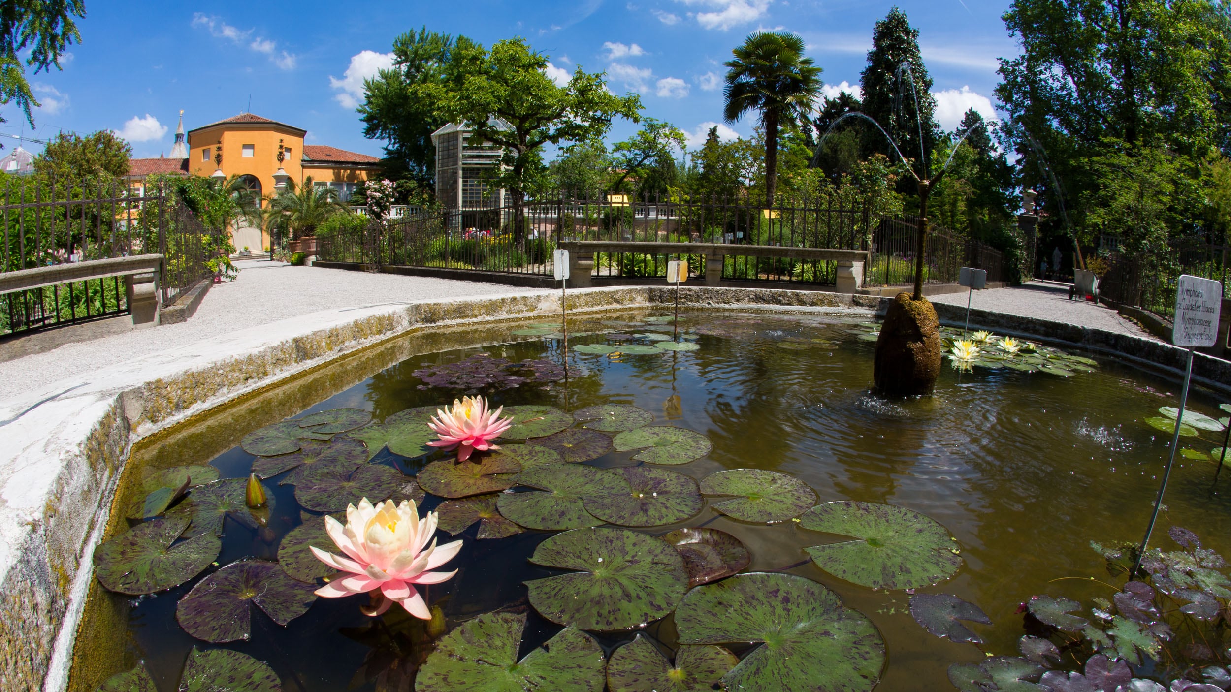 Vasca delle ninfee dell'Hortus cinctus © A.Cambone, R.Isotti - Homo ambiens/Touring Club Italiano