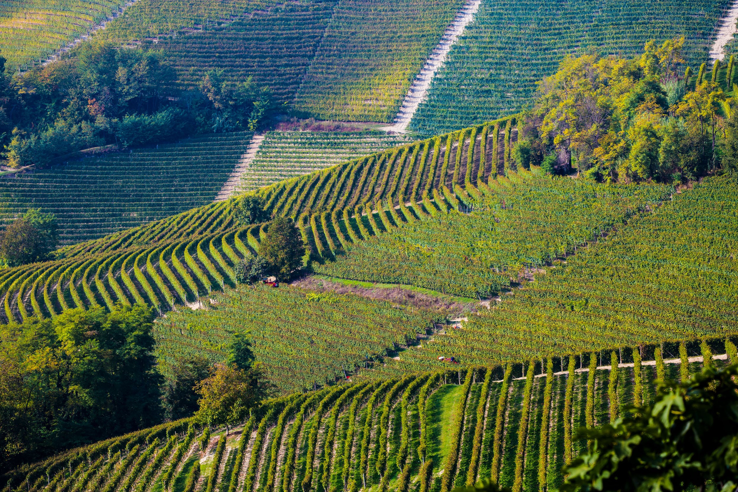Monte Fenera Oratorio di San Grato, panorama invernale © Archivio Ente di Gestione delle Aree Protette della Valle Sesia
