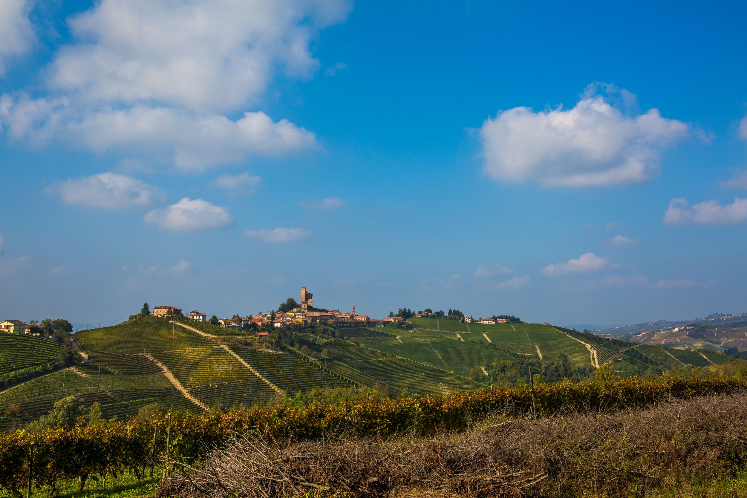 Serralunga d'Alba Avvolta dal paesaggio vitivinicolo © A. Cambone, R. Isotti - Homo Ambiens / Touring Club Italiano
