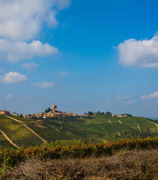 Serralunga d'Alba Avvolta dal paesaggio vitivinicolo © A. Cambone, R. Isotti - Homo Ambiens / Touring Club Italiano