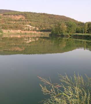 Lago della Costa - Arquà Petrarca © Archivio Comune Arquà Petrarca