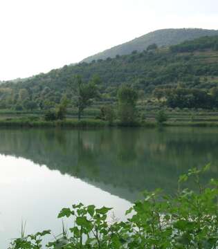 Lago della Costa - Arquà Petrarca © Archivio Comune Arquà Petrarca