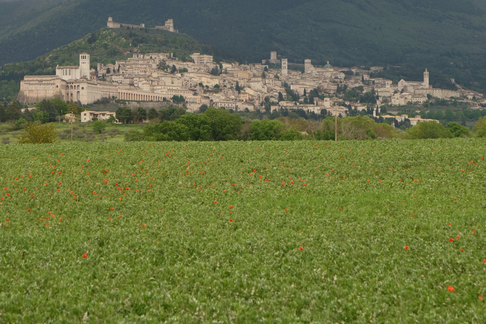 Panorama della città di Assisi © A. Rossi, Camaleo S.r.l. (Rm) in collaborazione con il Comune di Assisi u2013 Ufficio Turismo e su gentile concessione della Provincia Serafica di San Francesco dei Frati Minori dellu2019Umbria (Italia)