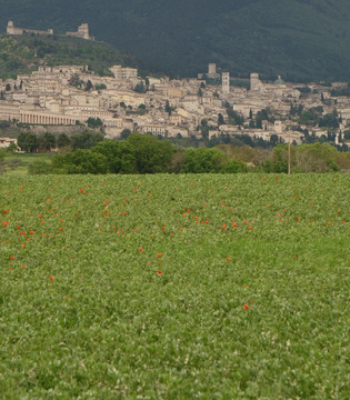 Panorama della città di Assisi © A. Rossi, Camaleo S.r.l. (Rm) in collaborazione con il Comune di Assisi u2013 Ufficio Turismo e su gentile concessione della Provincia Serafica di San Francesco dei Frati Minori dellu2019Umbria (Italia)