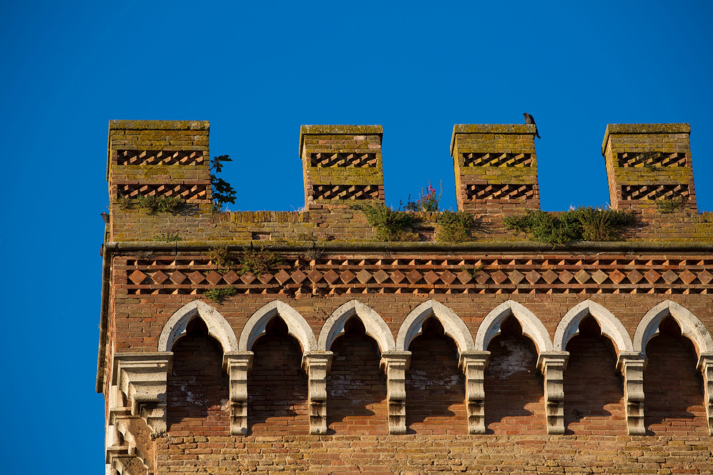 I merli del Palazzo del Popolo © A.Cambone, R.Isotti u2013 Homo ambiens/Touring Club Italiano