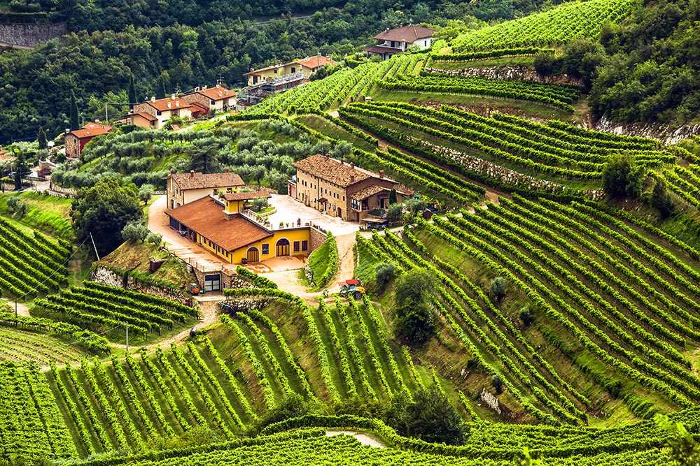 Amarone della Valpolicella © Shutterstock