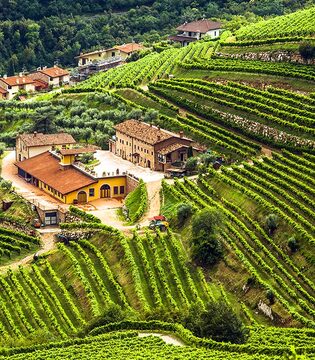 Amarone della Valpolicella © Shutterstock