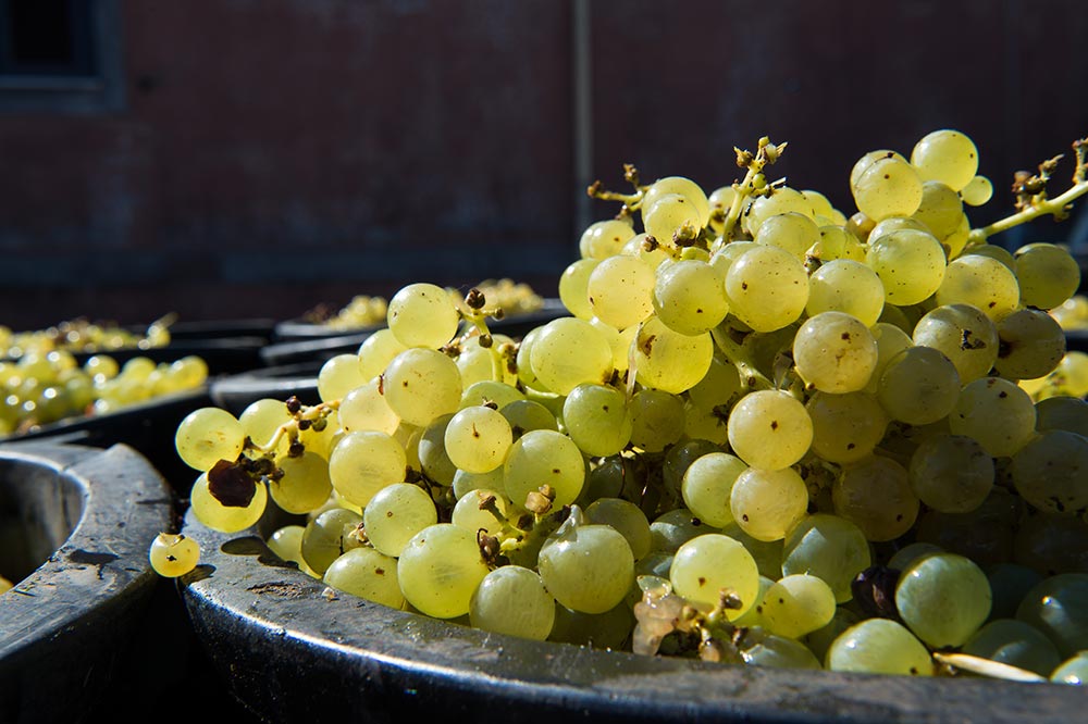 Frascati © Shutterstock