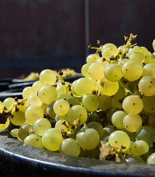 Frascati © Shutterstock