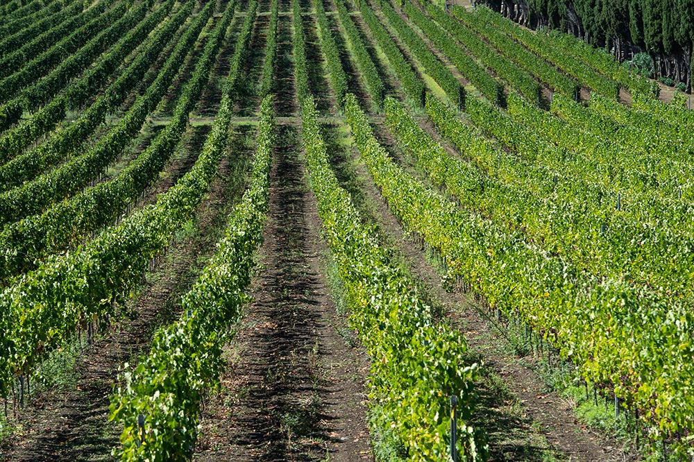 Frascati © Shutterstock