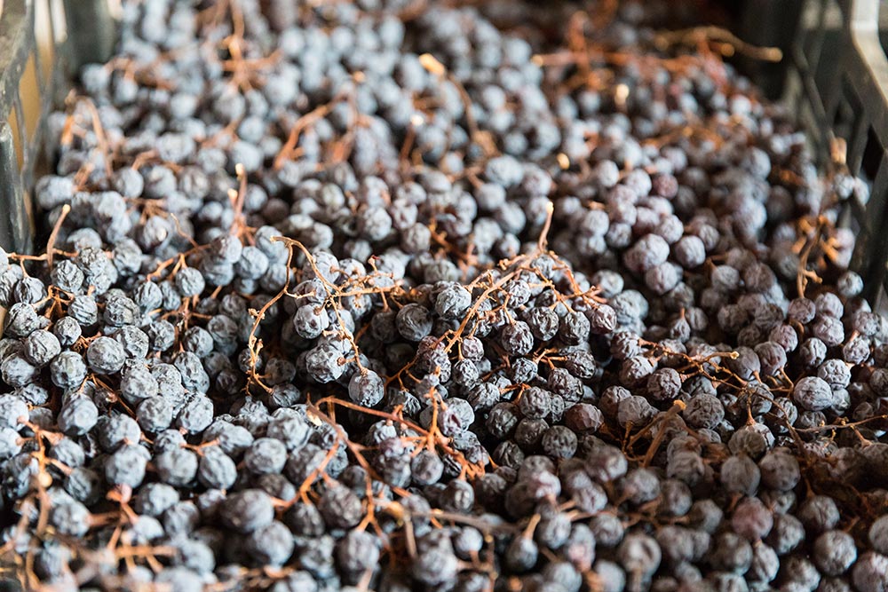 Amarone della Valpolicella © Shutterstock