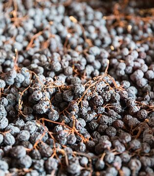 Amarone della Valpolicella © Shutterstock