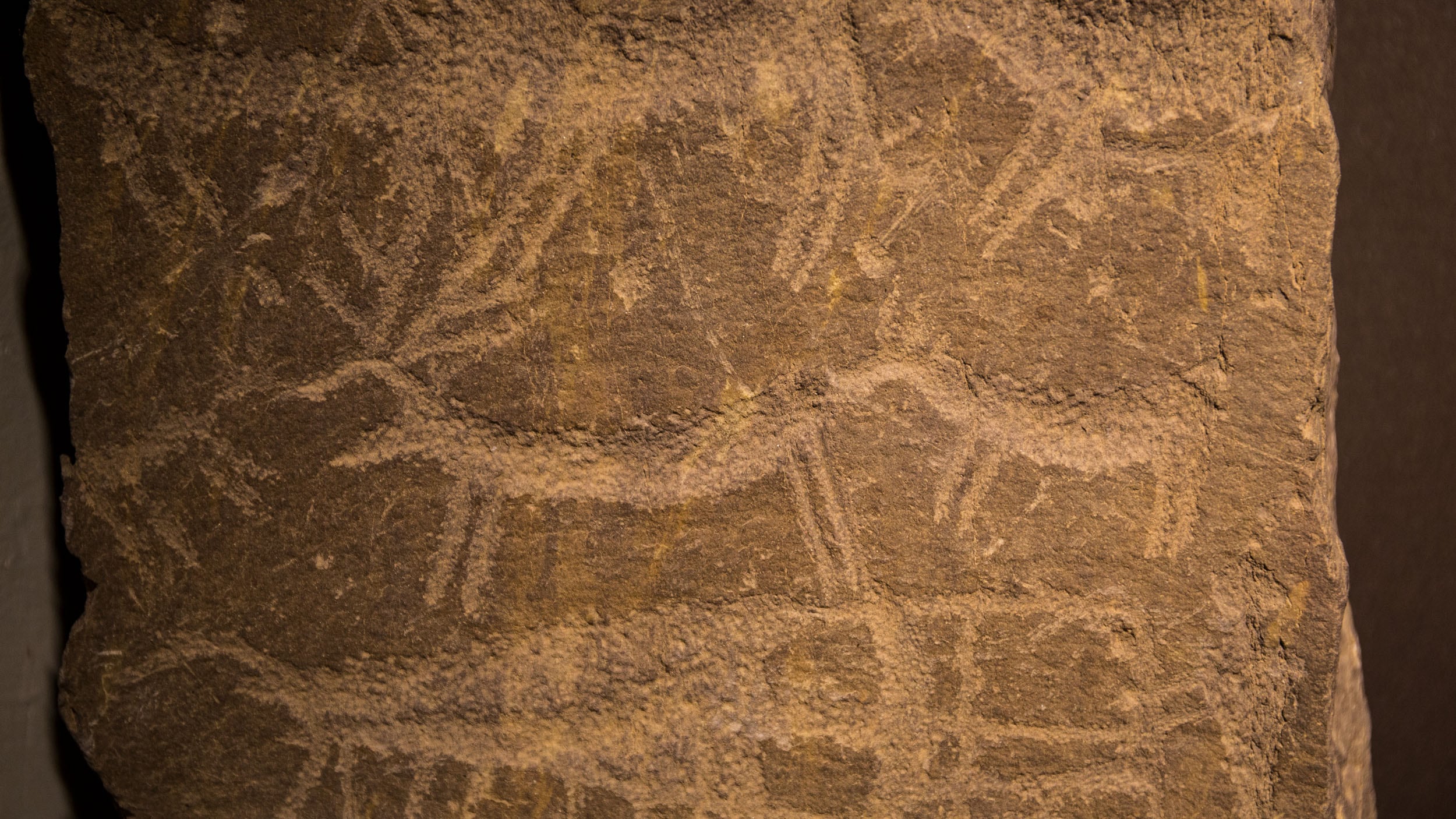 Valcamonica Incisioni di cervi e scene di caccia © A. Cambone, R. Isotti - Homo Ambiens / Touring Club Italiano